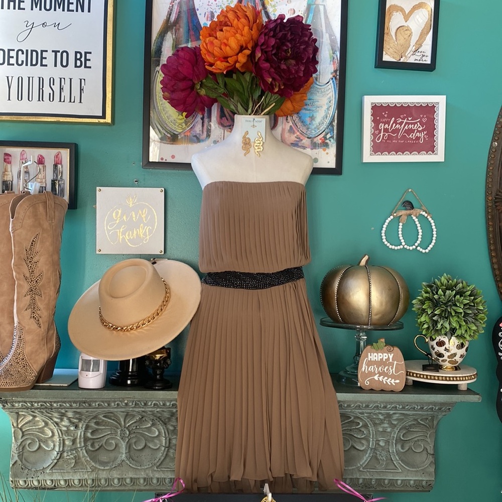 🌺Haute Hippie 
 Chiffon Beaded High Low Dress